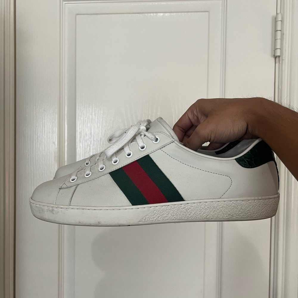 Gucci Aces
